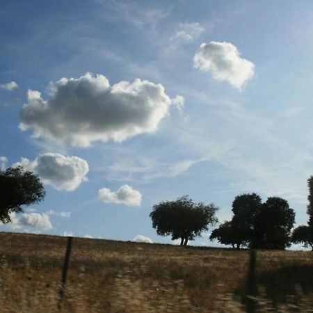 Herdade Do Monte Outeiro - Turismo Rural Venda  Dış mekan fotoğraf
