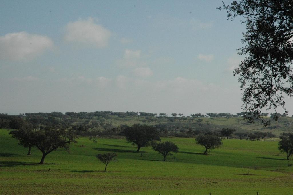 Herdade Do Monte Outeiro - Turismo Rural Venda  Dış mekan fotoğraf