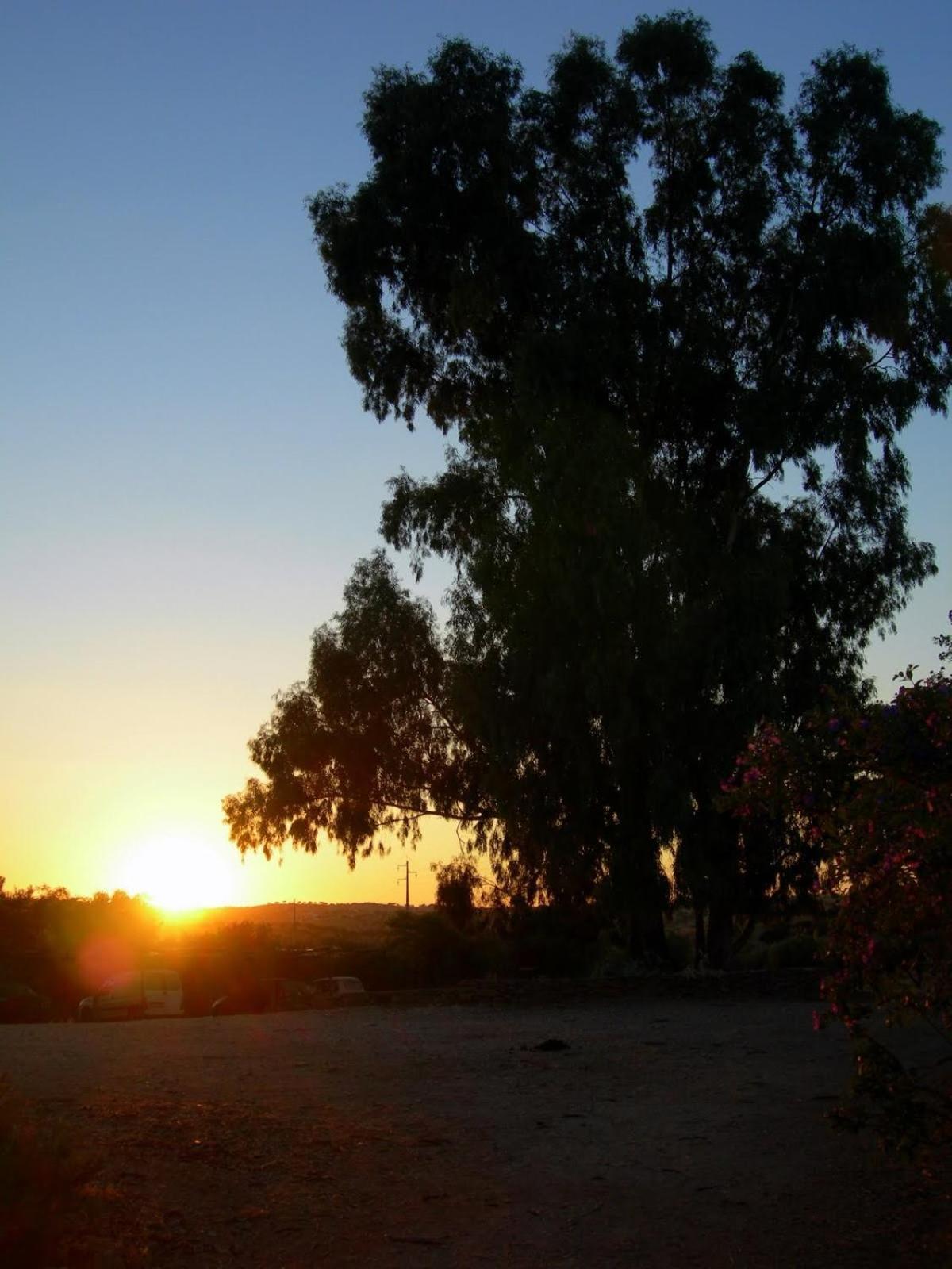 Herdade Do Monte Outeiro - Turismo Rural Venda  Dış mekan fotoğraf