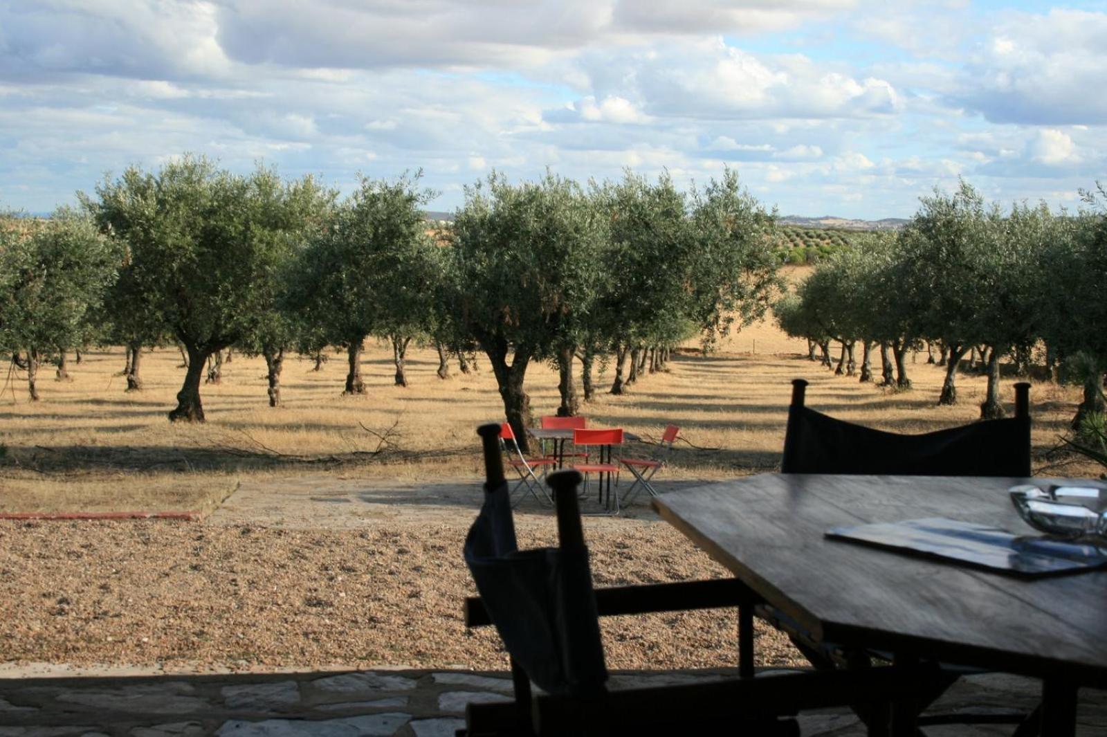 Herdade Do Monte Outeiro - Turismo Rural Venda  Dış mekan fotoğraf