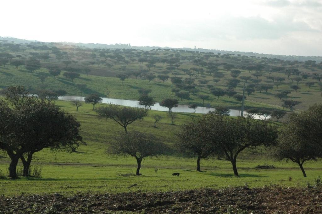 Herdade Do Monte Outeiro - Turismo Rural Venda  Dış mekan fotoğraf